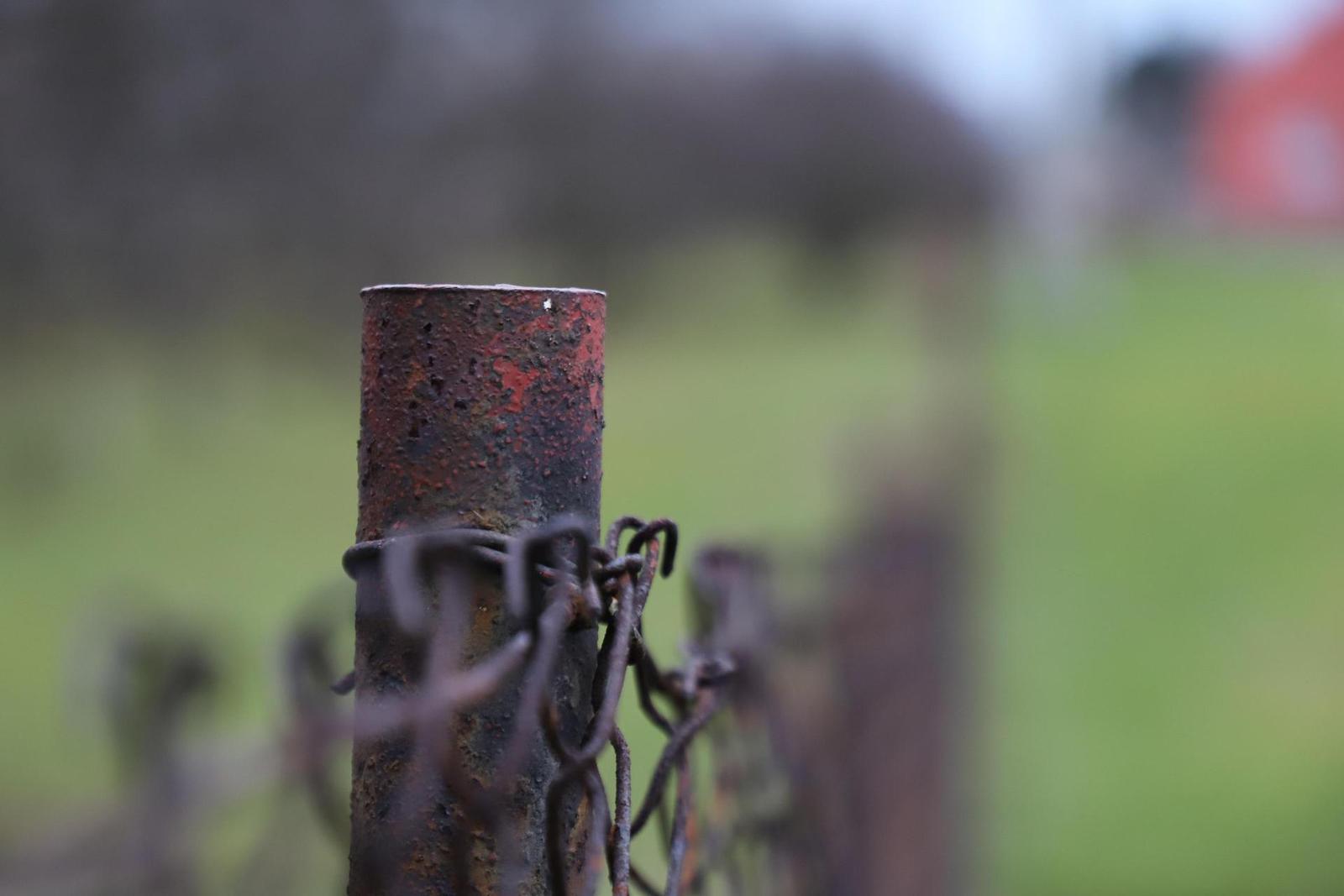 Canon EOS 6D Mark II: vylepšený full frame základ