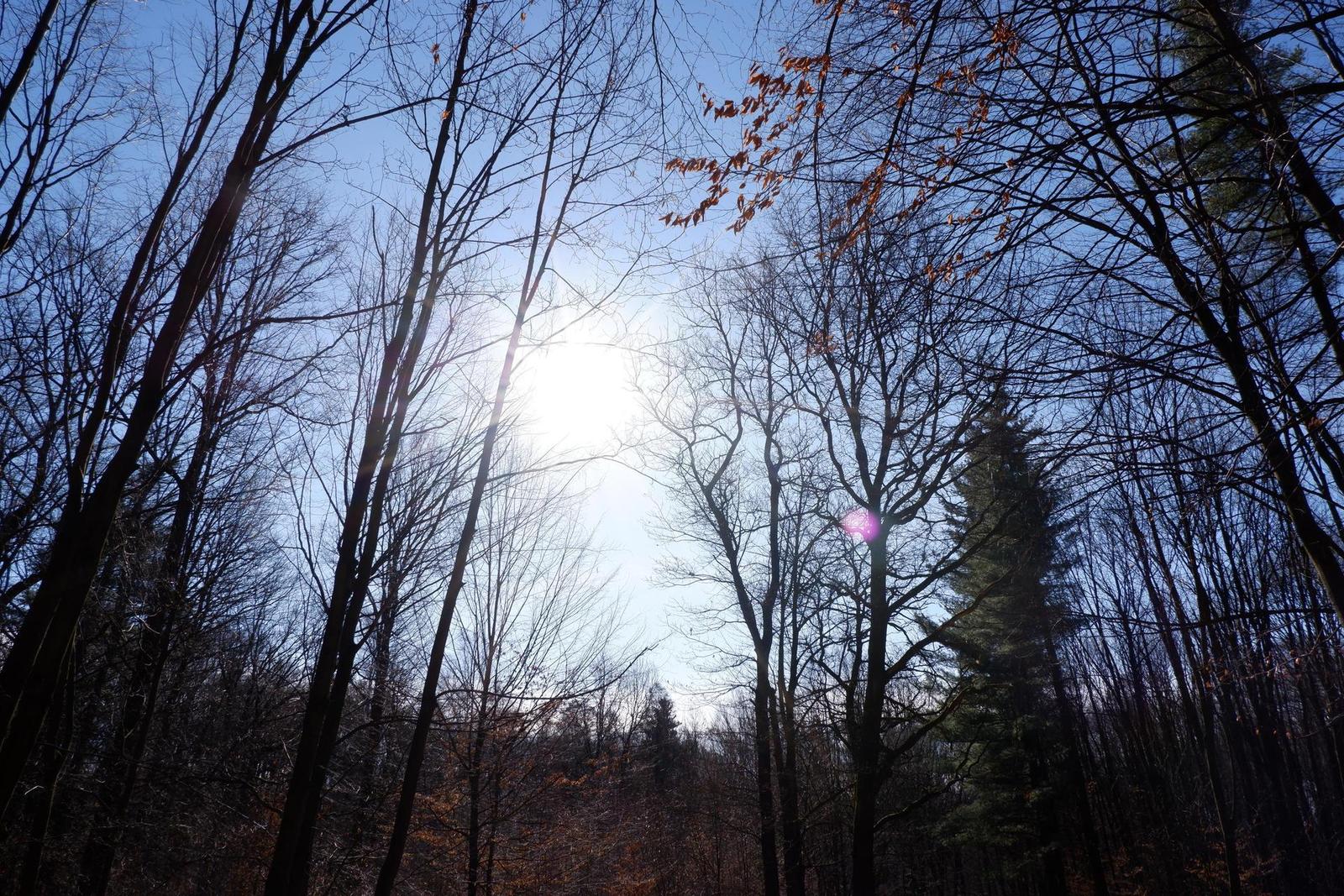 Fujinon XC 15-45mm 1:3.5-5.6 OIS PZ