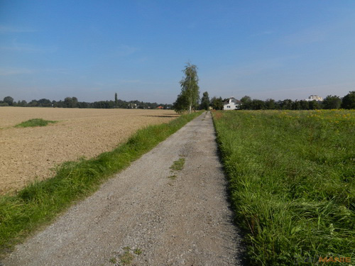 Nikon Coolpix S9100: rudý bojovník