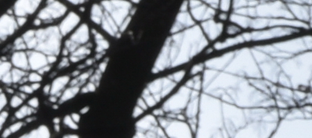 Nikon AF-S DX NIKKOR 16-85mm f/3.5-5.6G ED VR