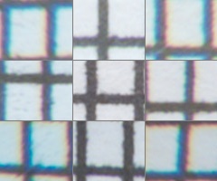 Fujifilm X-S1: jedinečný