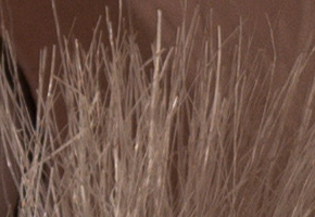 Samsung NX20: za více peněz více muziky