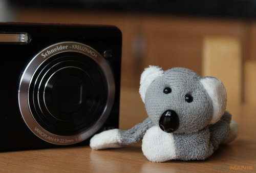 Fotíme s Koalou: Zoom a perspektiva