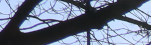 Canon EF-S 18-135mm f/3.5-5.6 IS Nano USM