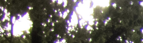 Nikon Coolpix B700: přírodovědec