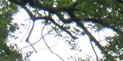 Panasonic Lumix G Vario 14-42mm F3,5-5,6 APSH.