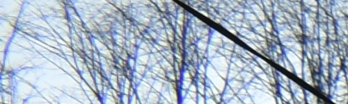 Nikon AF-P NIKKOR 18-55mm f/3.5-5.6G VR