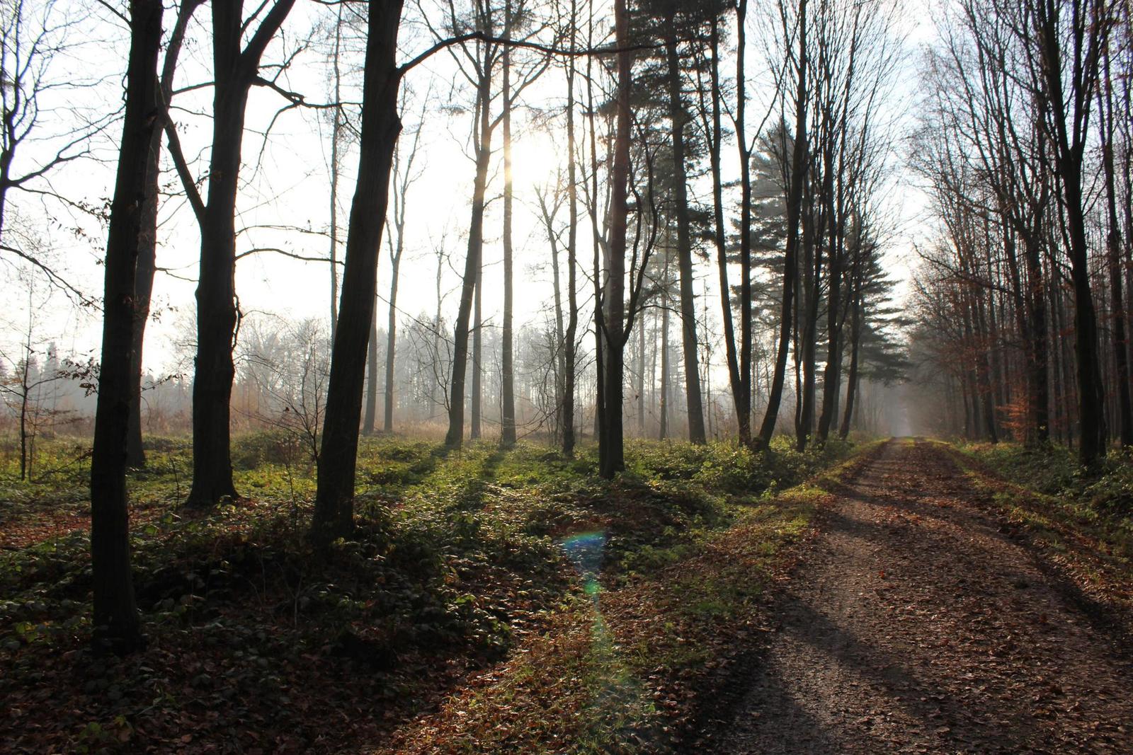 Canon EOS 1200D: vylepšený základ