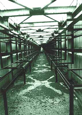 Tip Digimanie pro tento týden - Web Abandoned Places