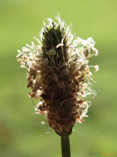 Fujifilm FinePix HS20EXR: důstojný nástupce