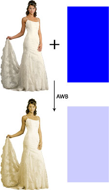 DSLR na cestě časem - 21. díl