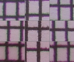 Canon PowerShot SX120 IS: zraje jako víno