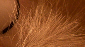 Canon PowerShot G1 X Mark II: významné zlepšení