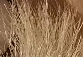 Olympus OM-D E-M5: elegantní fotokladivo