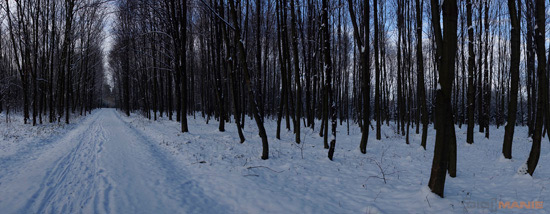 Sony SLT-A77: megapixelový přeborník