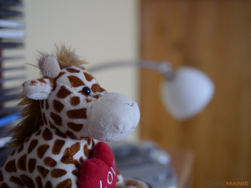 Panasonic Leica DG Summilux 25mm/F1.4 ASPH.