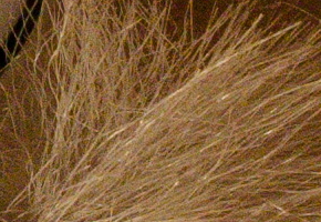 Nikon Coolpix A: velmi příjemná (ne)výraznost