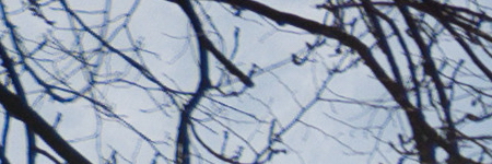 Panasonic Lumix LX100: pozoruhodný profi kompakt