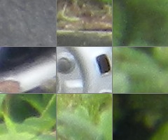 Nikon Coolpix P500: univerzální dalekohled