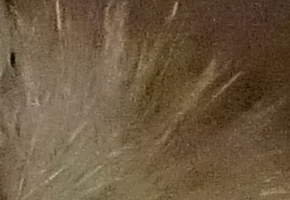 Sony NEX-6: pan dlouho očekávaný