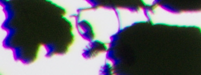 Tamron 16-300mm f/3.5-6.3 Di II VC PZD Macro