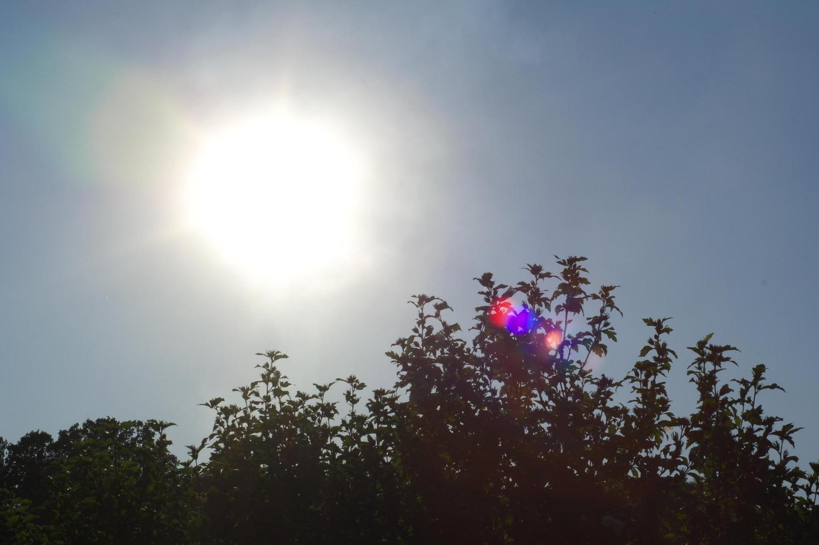 Minolta MC Rokkor-PF 50mm F1.7 (MC/MD)