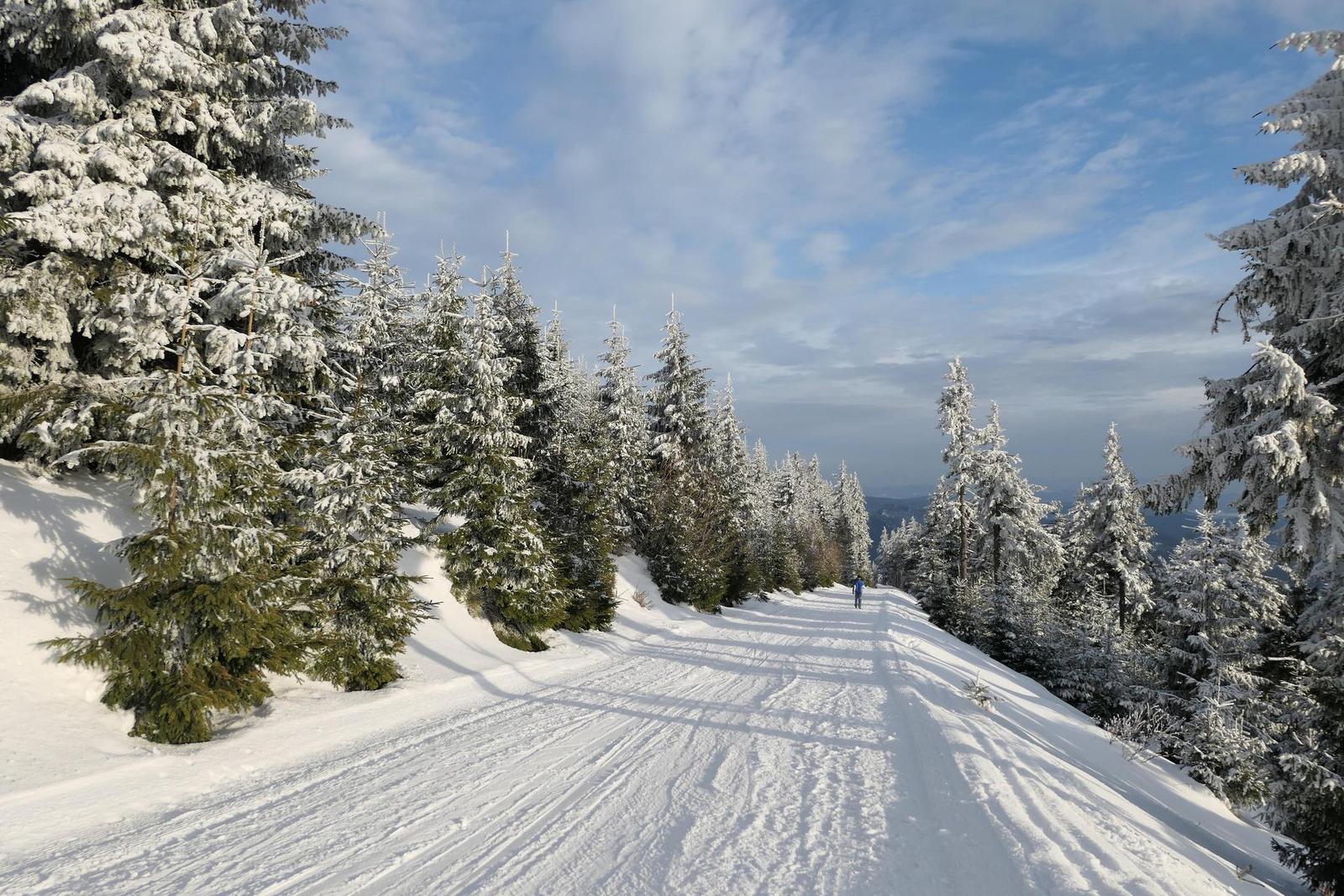 Panasonic Lumix LX15: noční borec