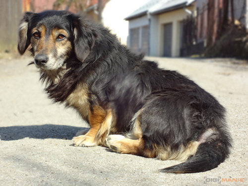 Sony Cyber-shot WX7: překoná skvělou WX5?