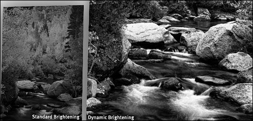 Silver Efex Pro 2: digitální temná komora ve své druhé verzi