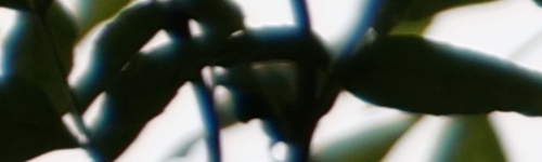 Panasonic Lumix S Pro 70-200mm F4 O.I.S.