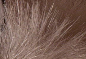 Sony NEX-6: pan dlouho očekávaný