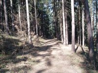 Olympus Camedia C-470 Zoom: Americký D-590