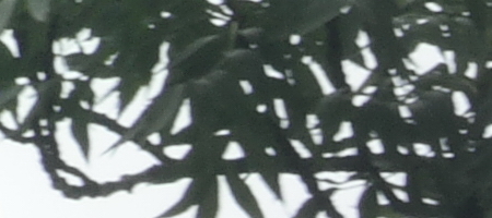 Jupiter-9 85mm F2.0 (M39)