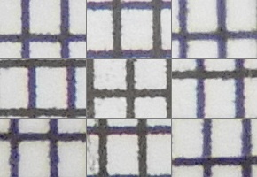 Nikon Coolpix B700: přírodovědec