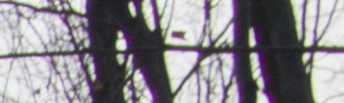 Xiaoyi 12-40mm 1:3.5-5.6