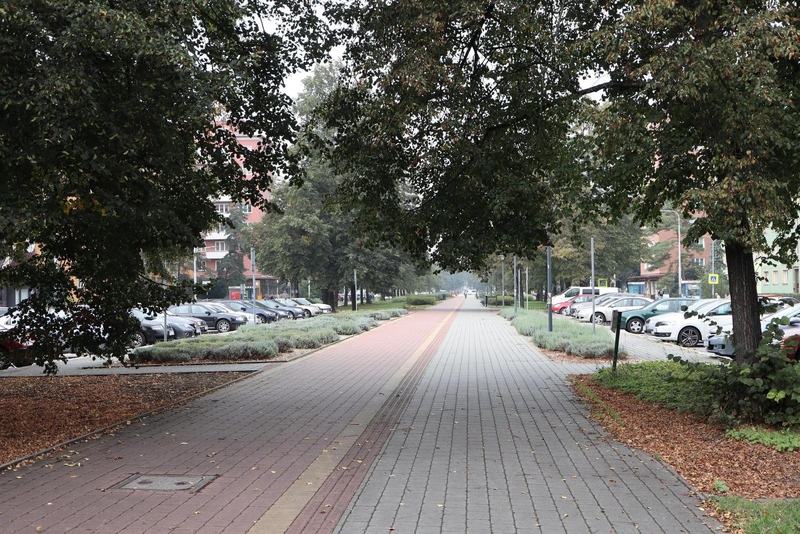 Canon EF-M 28mm f/3.5 Macro IS STM