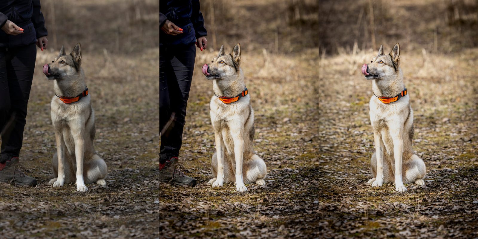 Skrytá síla moderních notebooků pro tvůrce