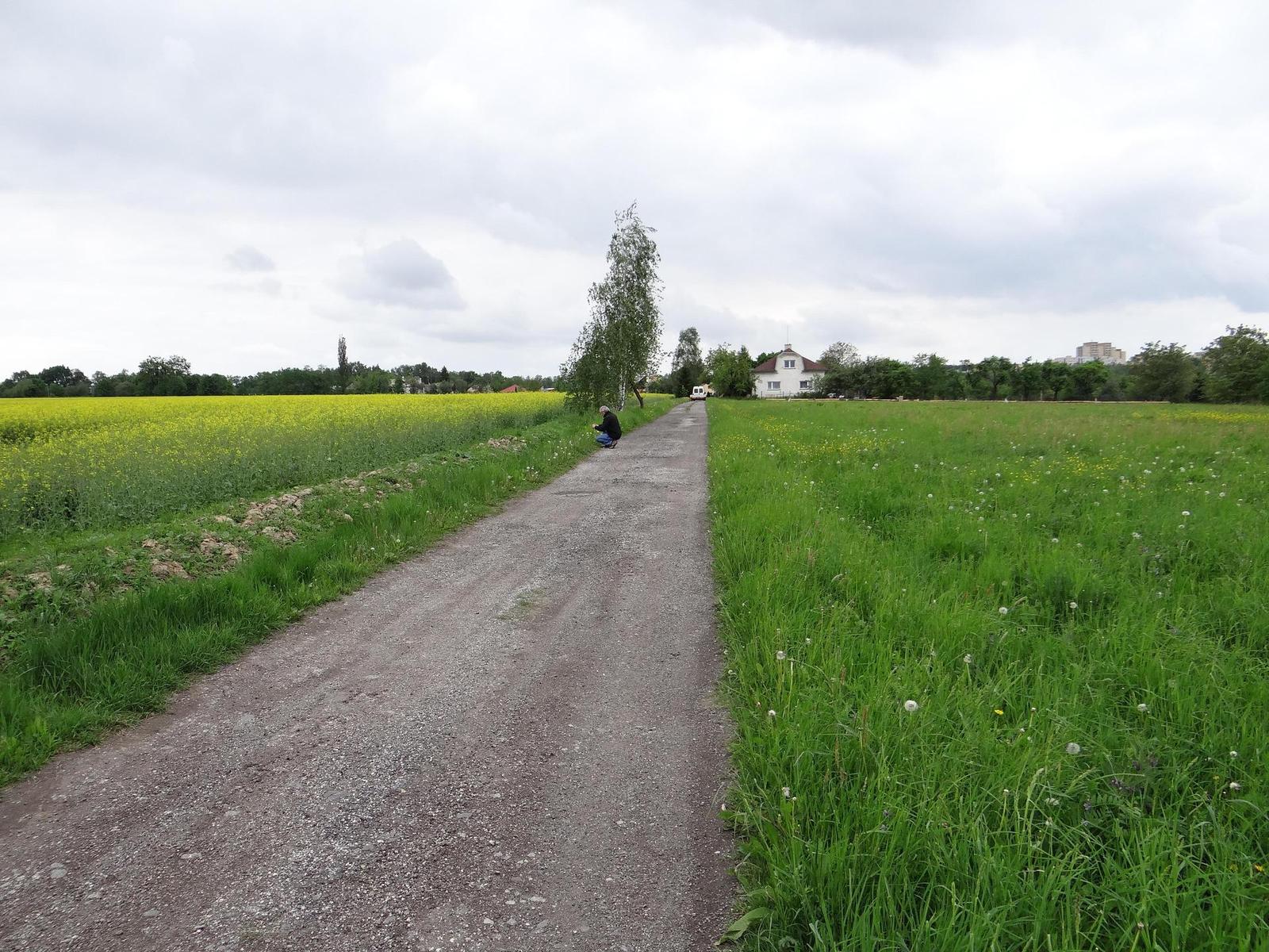 Sony Cyber-shot HX200V: ultrazoomový rychlík