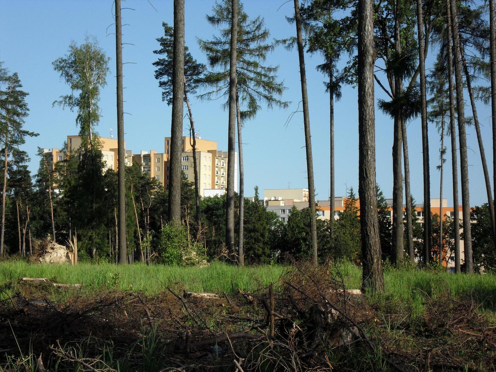 Samsung WB1000: fotoaparát s přístrojovkou