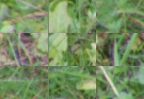 Nikon AF-P DX Nikkor 70-300 mm f/4,5-6,3G ED VR