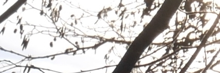 Panasonic Lumix G Vario 35-100mm F4-5.6 MEGA O.I.S.