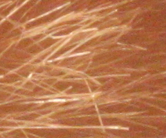 Canon EOS 500D: povedený pokračovatel rodu