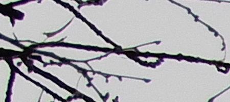 Nikon Coolpix A900: 4K do kapsy