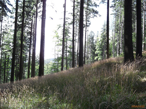 Fujifilm FinePix T200: nejlevnější ultrazoom Fuji