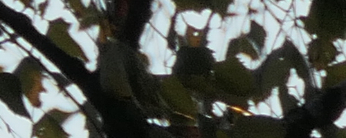 Panasonic Lumix TZ200: kamarád na cesty