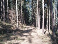 Olympus Camedia C-470 Zoom: Americký D-590