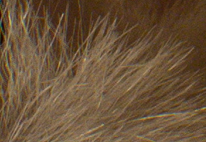 Samsung NX300: spousta kroků vpřed, jeden vzad