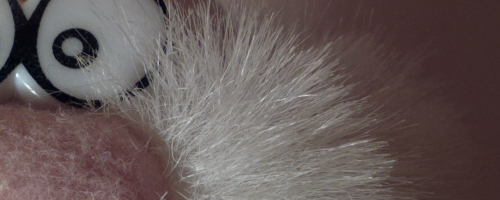 Nokia 808 PureView: mobilní zrcadlovkobijec