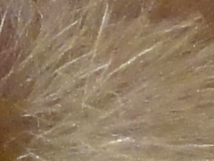 Sony Cyber-shot W570: jde to i s 16 megapixely