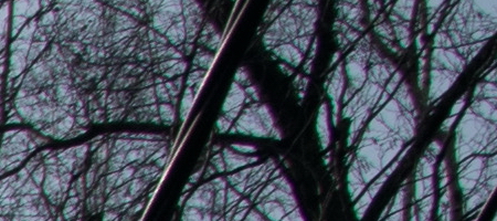 Nikon AF-S DX NIKKOR 16-85mm f/3.5-5.6G ED VR